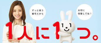 ～マイナンバーみんなで拒否ればこわくない～という誤解